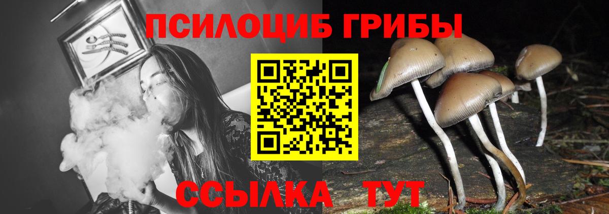 Псилоцибиновые грибы прущие грибы  Вход с VPN  Галлюциногенные грибы Psilocybe  Заринск 